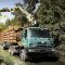 Important Tips To Purchase A Forestry Truck