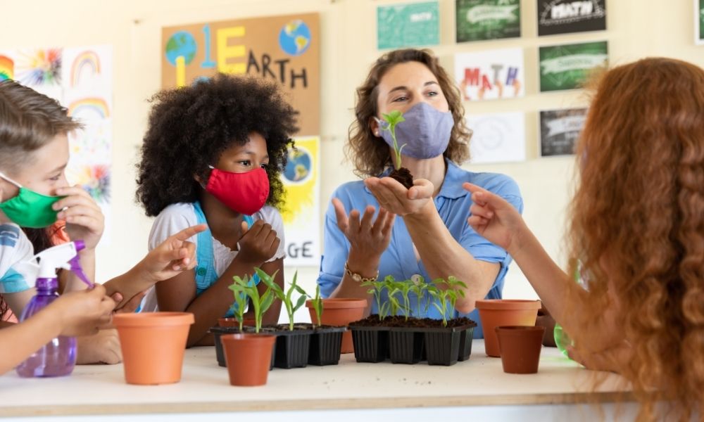 The Top 3 Tips To Make Your School More Eco-friendly.