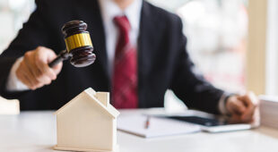 Understanding Estate Litigation